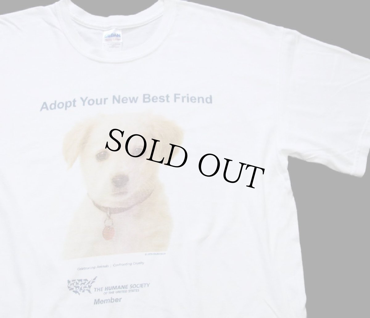 画像1: 00s THE HUMANE SOCIETY Adopt Your New Best Friend ドッグ コットンTシャツ 白 L (1)