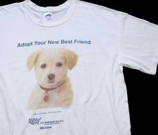 画像1: 00s THE HUMANE SOCIETY Adopt Your New Best Friend ドッグ コットンTシャツ 白 L (1)